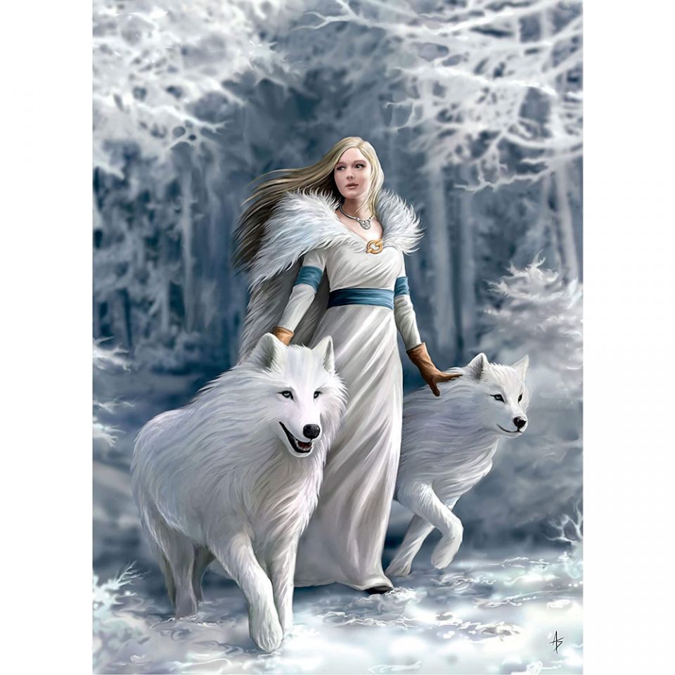 Clementoni Anne Stokes Winter Guardians 1000 Piece Puzzle Toy