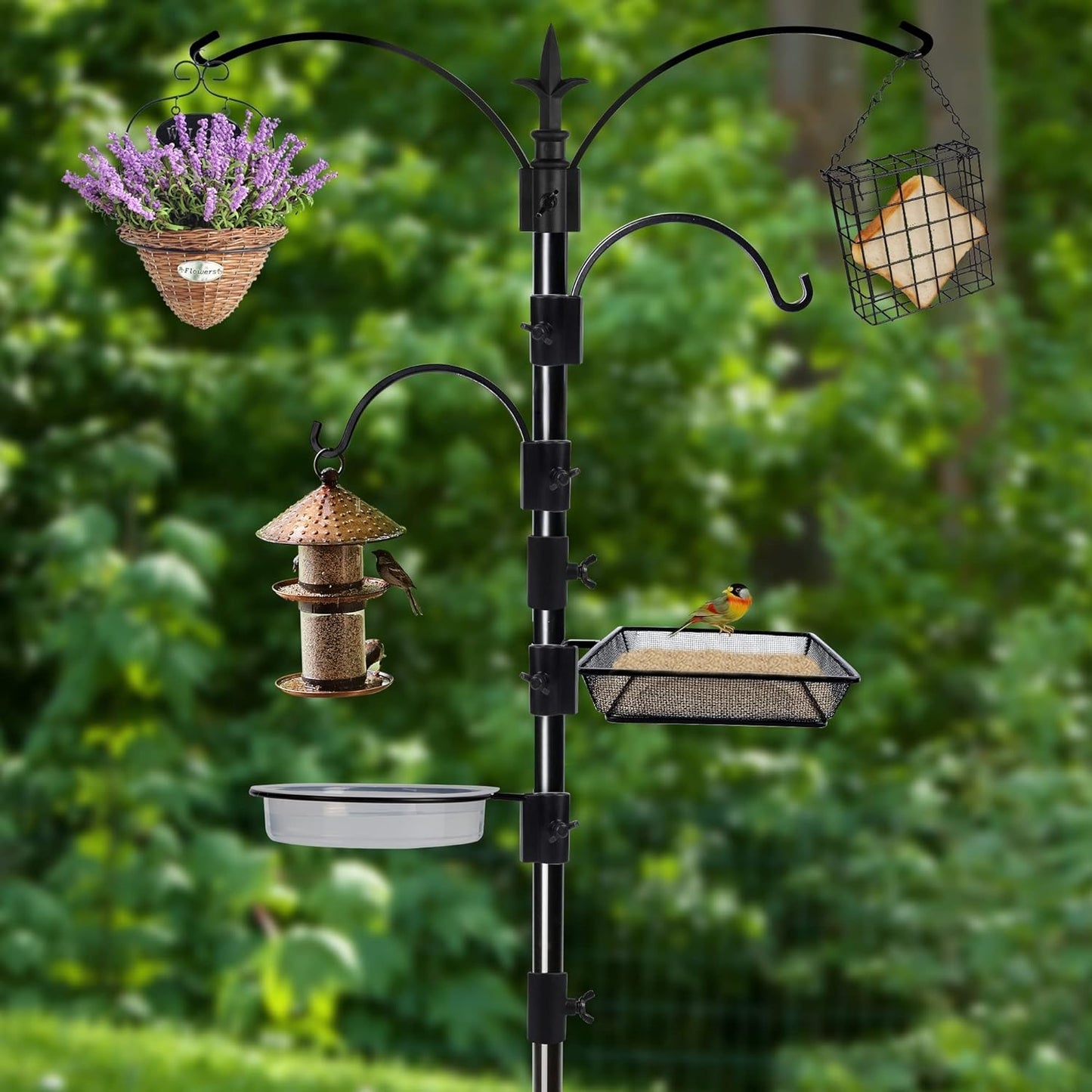 Yosager Premium Bird Feeding Station Kit