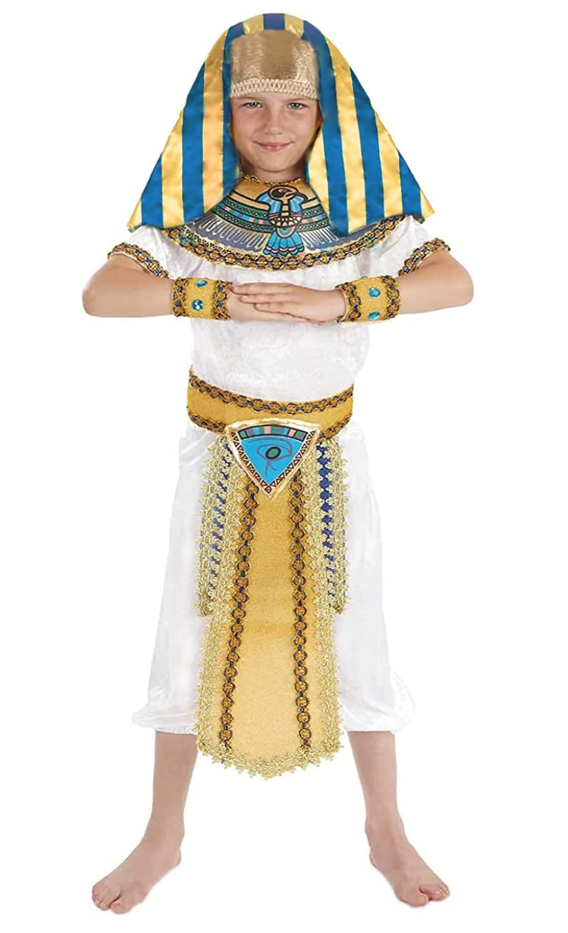 Fun Shack Boys Egyptian Pharaoh Costume Kids King of Egypt Fancy Dress Book Week Halloween White M