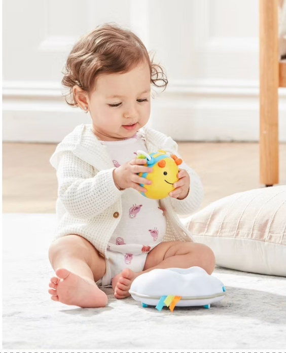 Skip Hop Explore & More Follow-Bee Crawl Toy